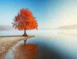 前​端​seo技​术​有​哪‌些​优﻿势​和﻿劣﻿势‍